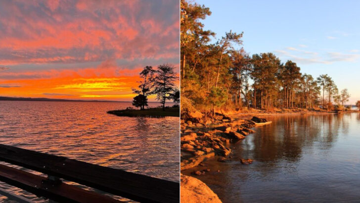 A Peaceful Georgia State Park Where The Lake Stretches Like A Small Inland Sea