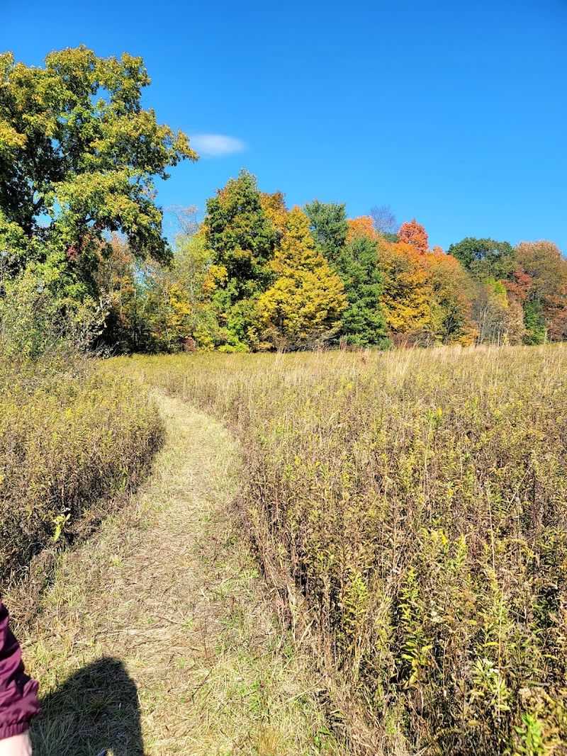 Why the Seasons Matter So Much Here