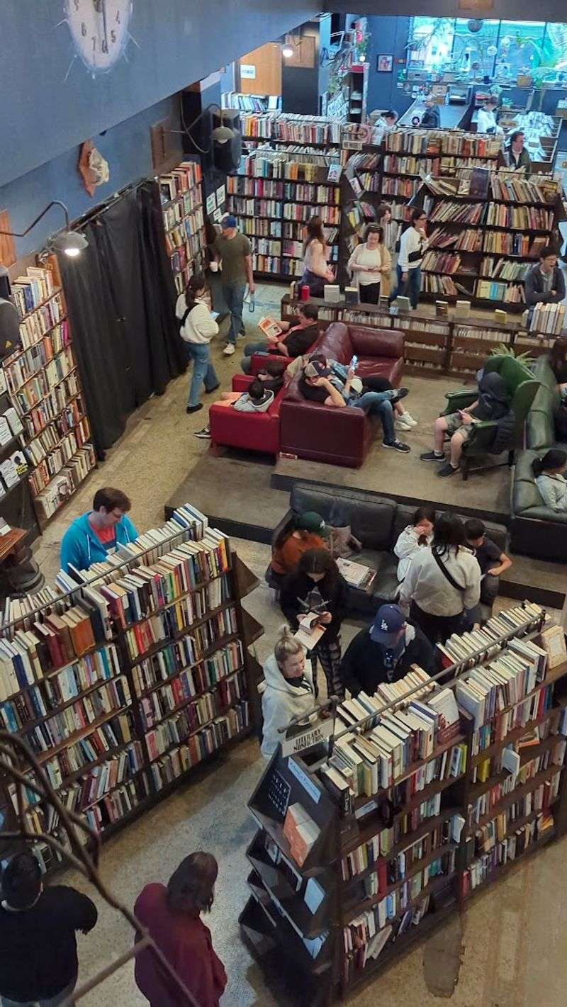 Visitor Info and Tips for the Best Experience