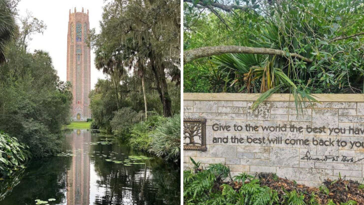 A Visionary Gift Created One Of Florida&rsquo;s Most Beloved Public Gardens And It&rsquo;s Still Thriving Today