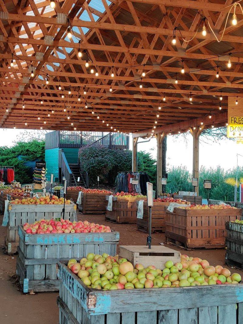More than a place to pick fruit