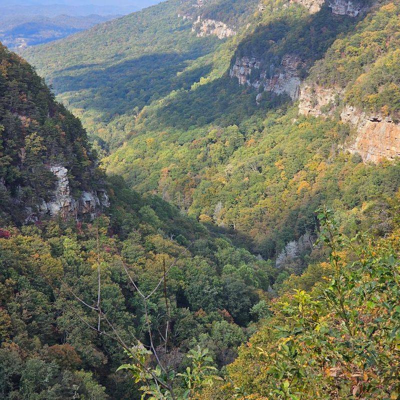 Cloudland Canyon State Park 