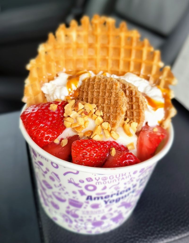 Yogurt Mountain