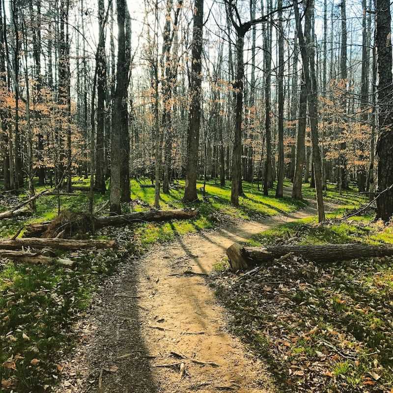 Peaceful Primitive Camping Experiences