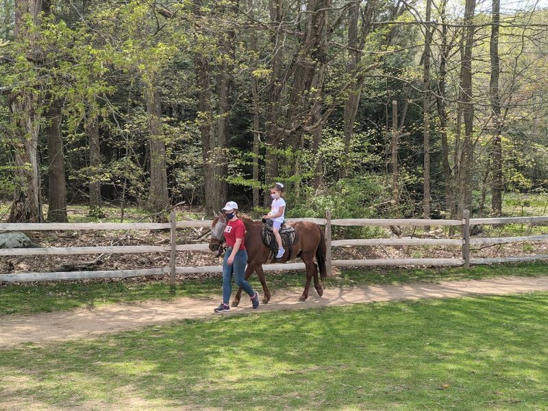 Flamig Farm