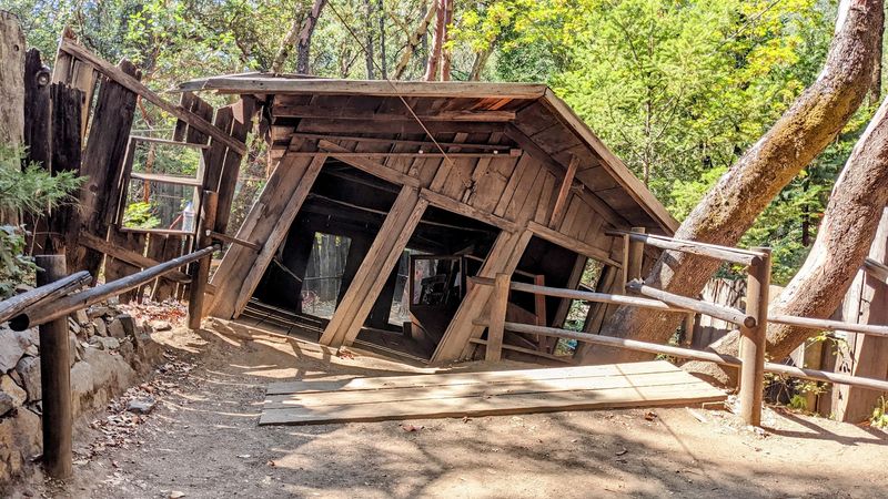 The Oregon Vortex (Gold Hill)