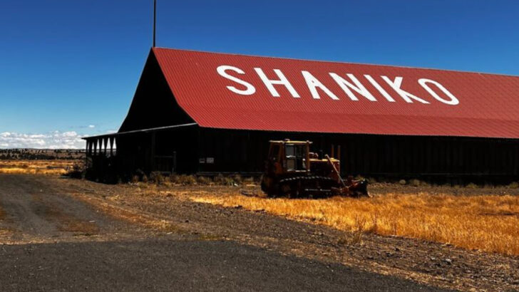 After Visiting Many Weird Oregon Attractions, These Are the 12 Most Unusual
