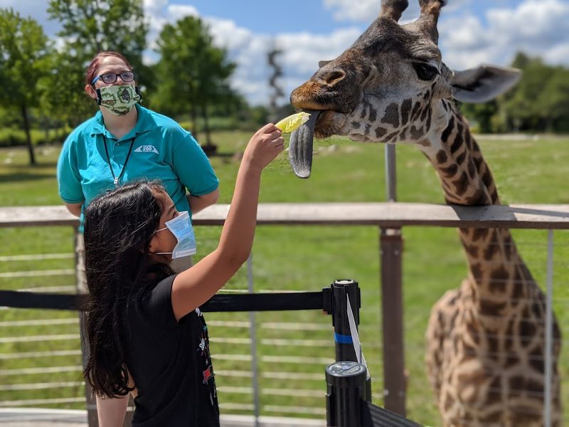 Toledo Zoo & Aquarium