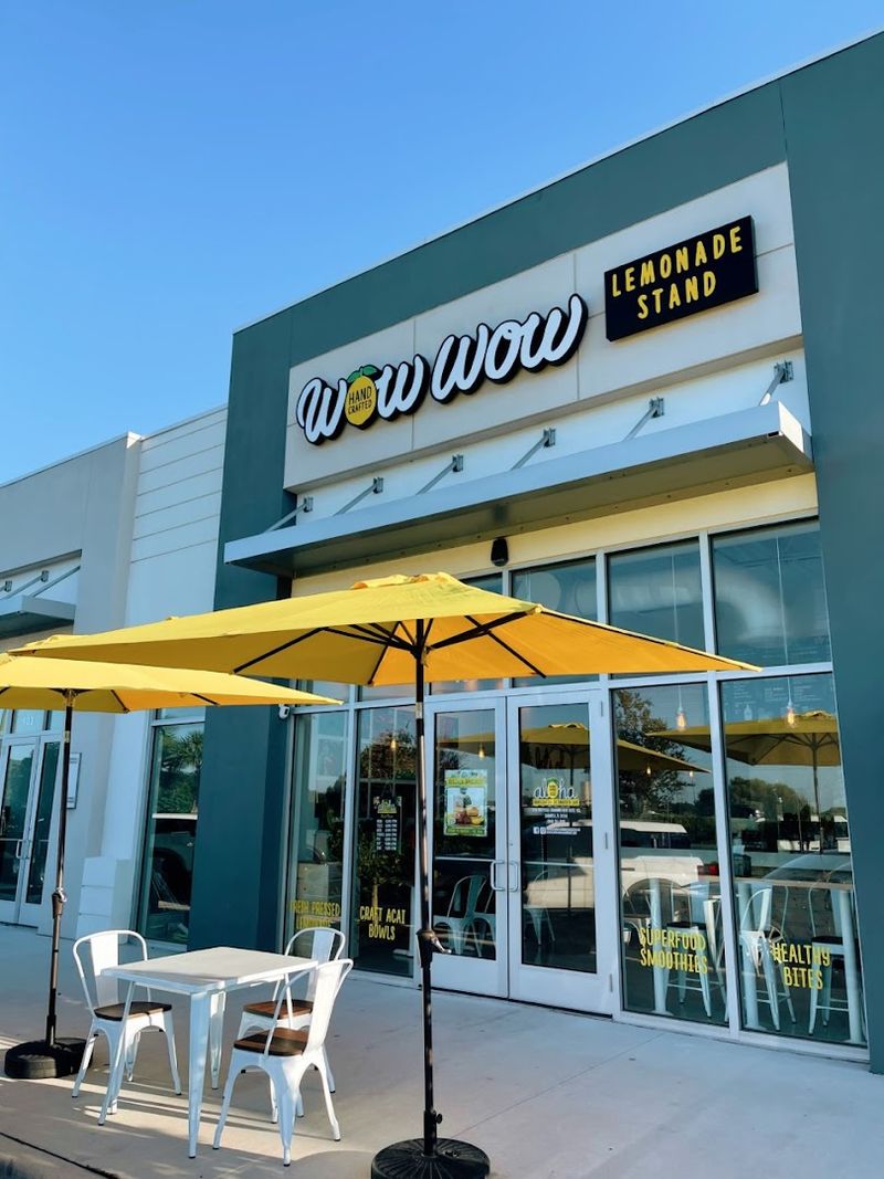 Wow Wow Lemonade Sarasota