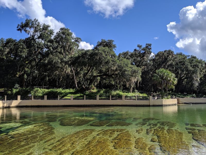 Salt Springs Recreation Area