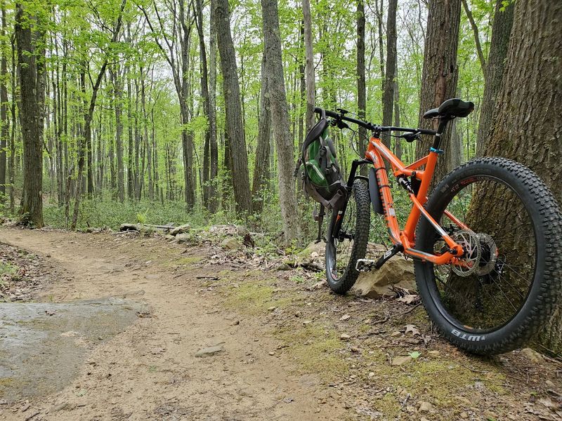 Trails at Jakes Rocks