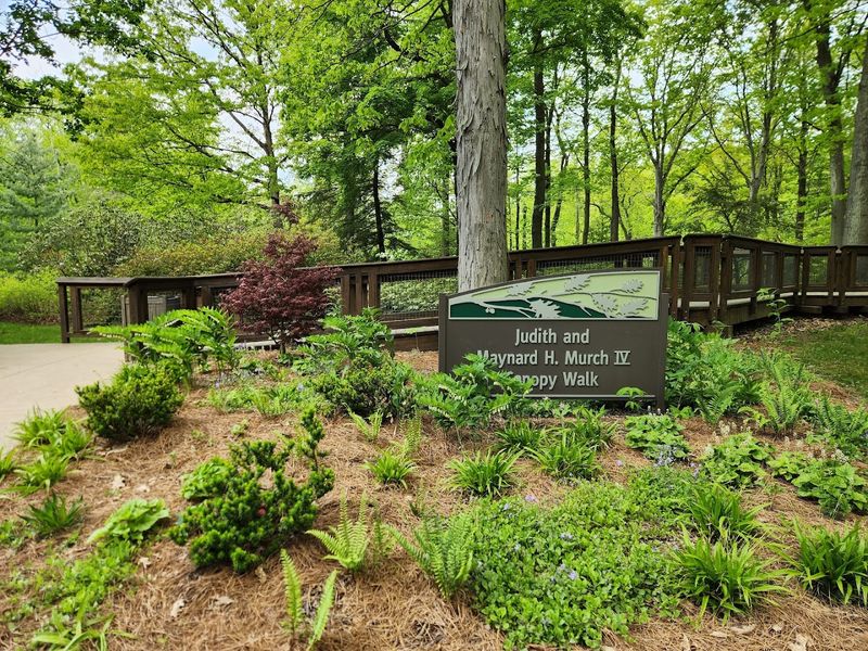The Holden Arboretum 