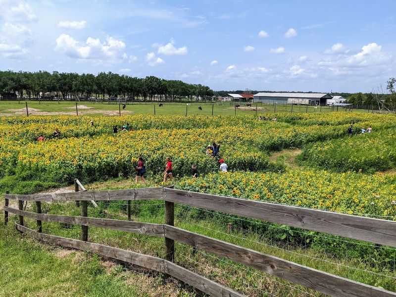 Hunsader Farms, Bradenton, Manatee County