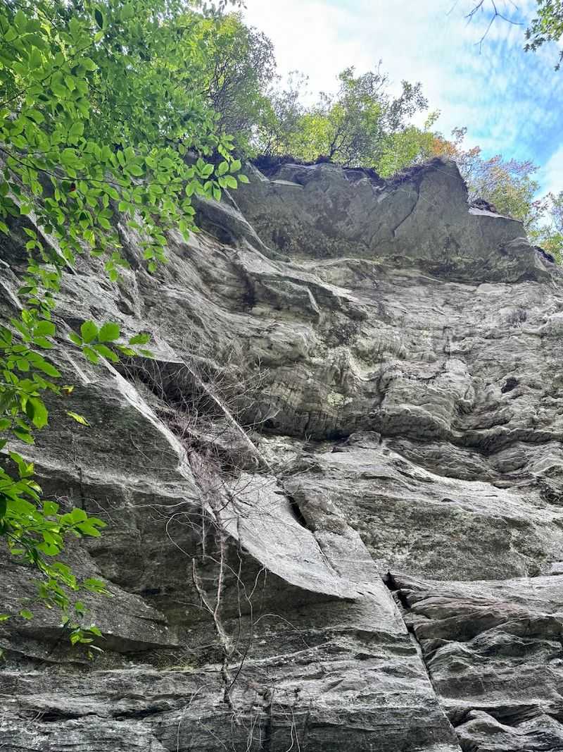 Wildlife, Geology & Natural History