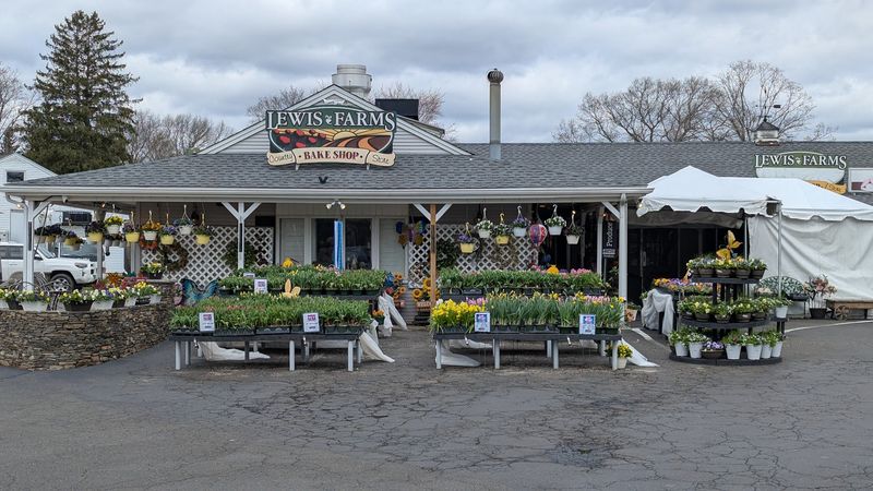 Lewis Farms Bakery