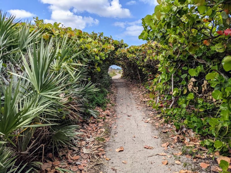 The Walk From Entrance To Ocean