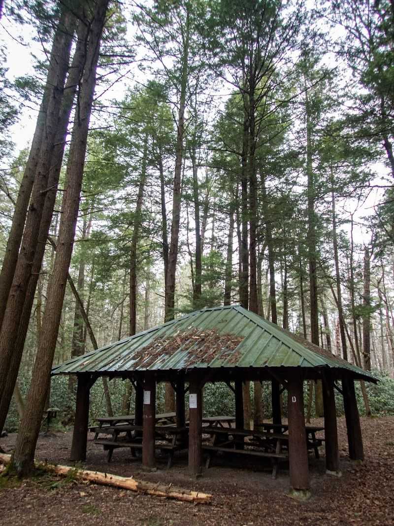 Historic Picnic Pavilions and Fireplaces