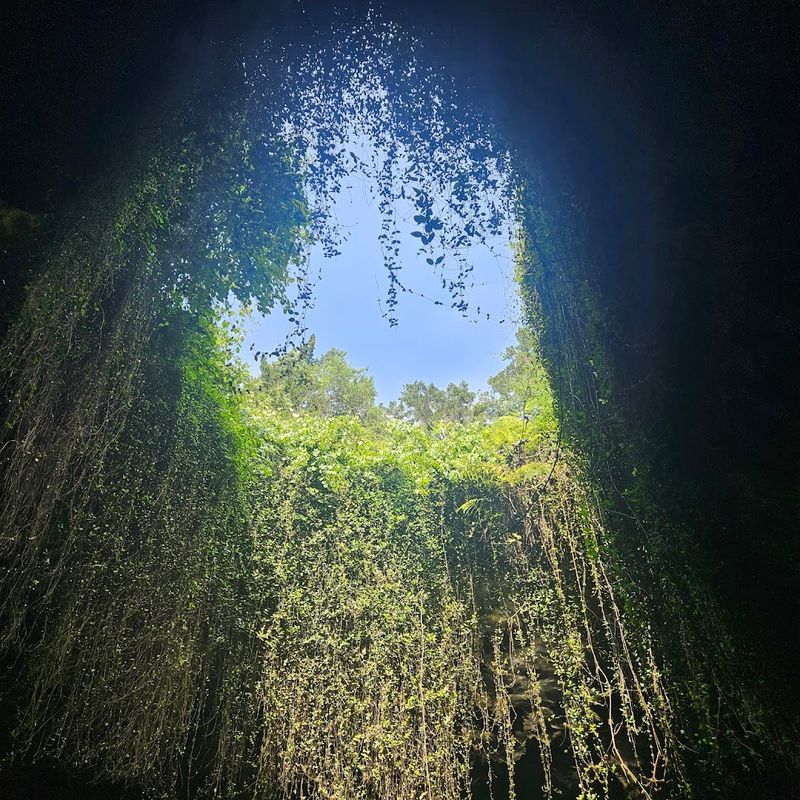 The Light Of The Chamber Changes Everything