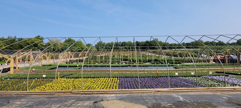 Colesville Nursery - Ashland, Hanover County