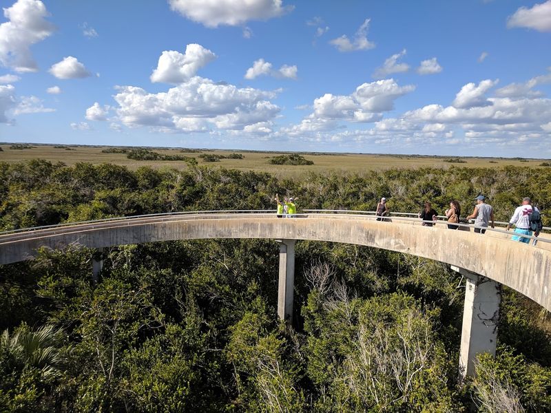 Shark Valley Tram Road Trail