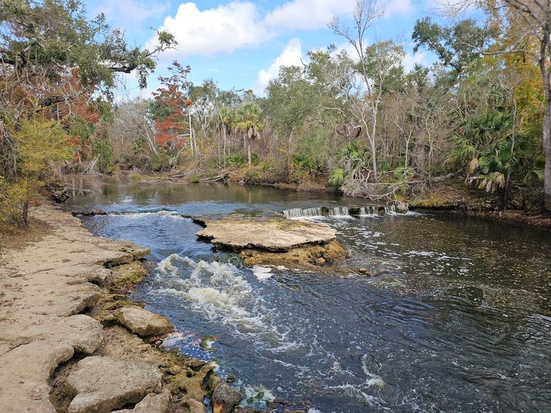Steinhatchee, Taylor County
