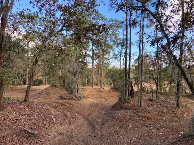 Croom Motorcycle Area Equestrian Access Trails 