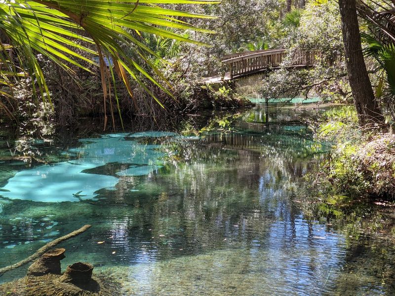 Ocala National Forest