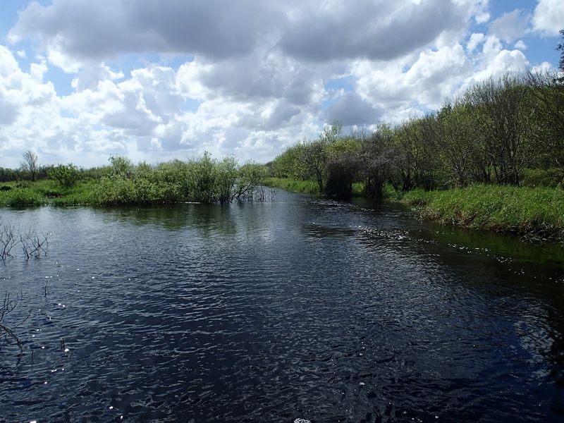 Kissimmee River