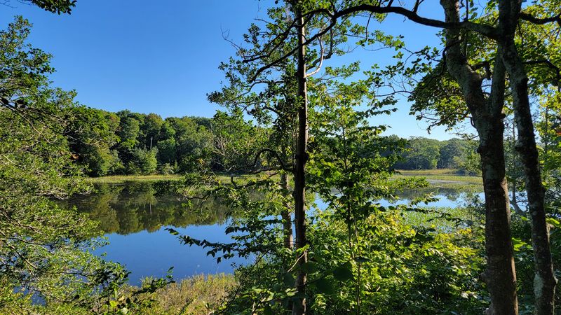 Northern Neck Potomac River Route, Kinsale, Westmoreland County