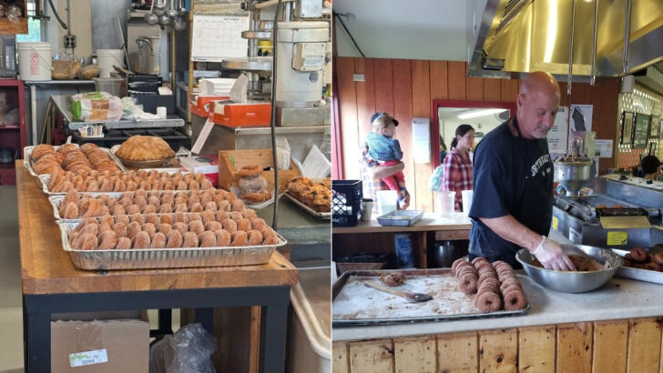 Apple Cider Donuts Taste Even Better At These 13 Cozy Massachusetts Bakeries