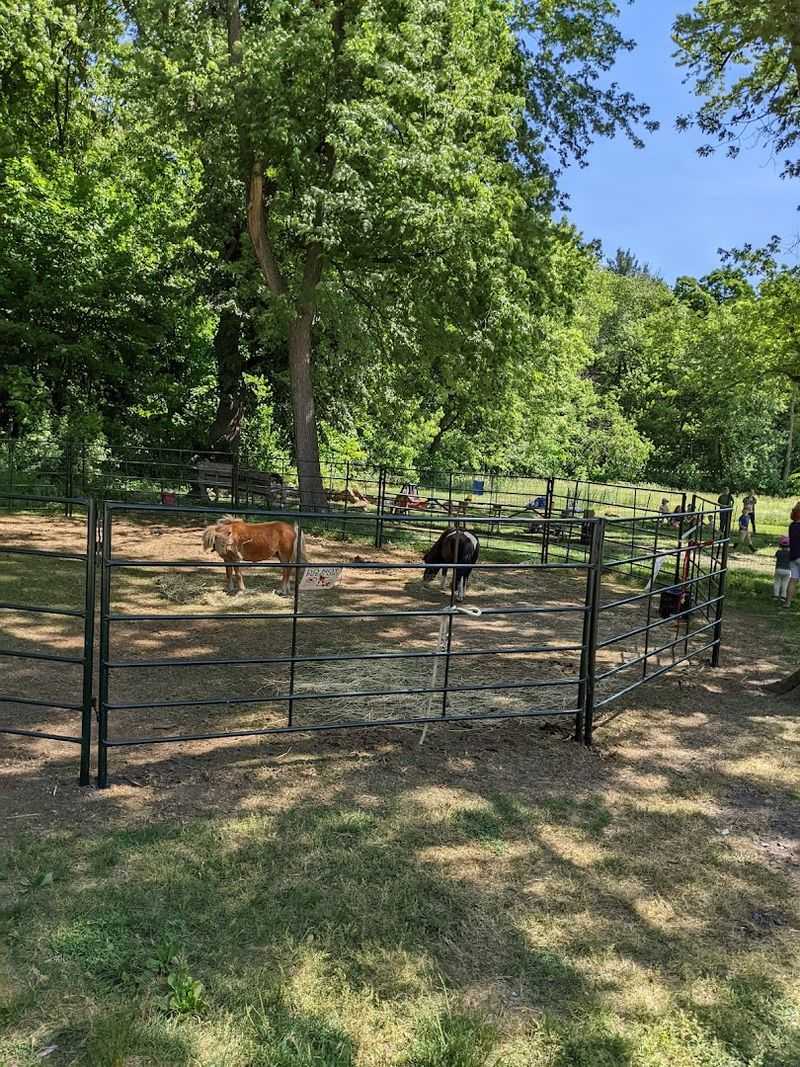 Chip-In Farm (Bedford)