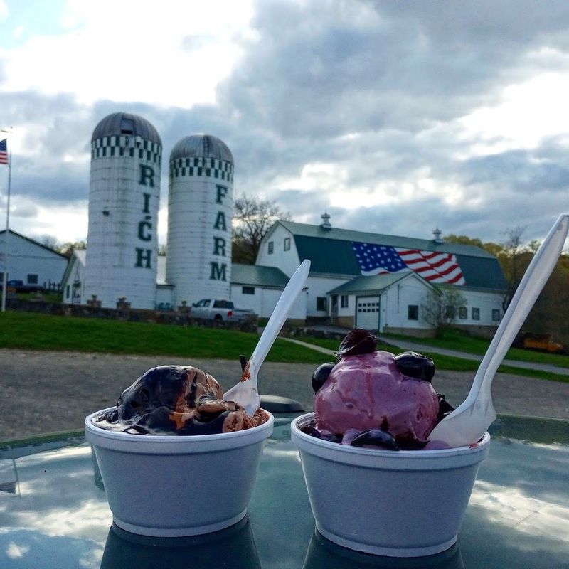 Rich Farm Ice Cream