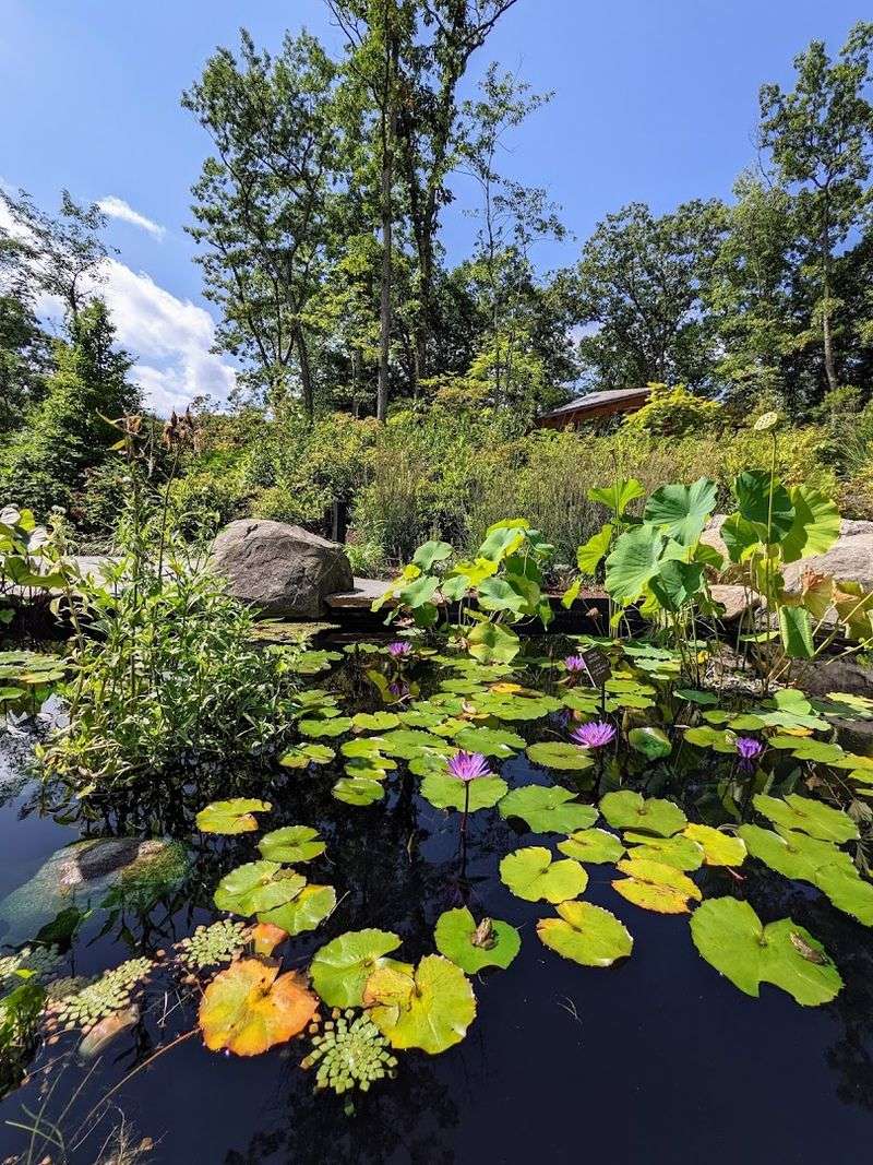 New England Botanic Garden at Tower Hill (Boylston)