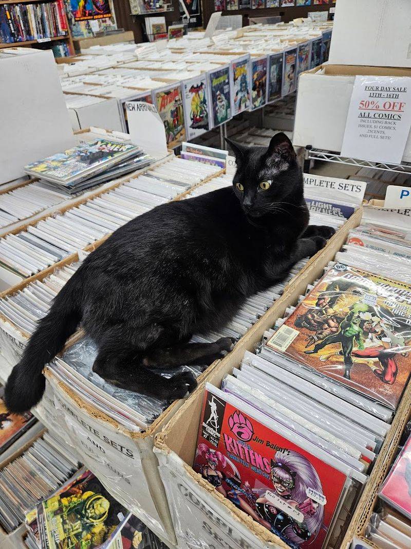 Dark Star Books & Comics 