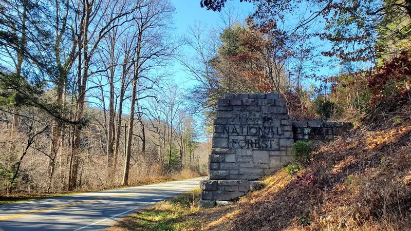 Forest Heritage Scenic Byway Drive