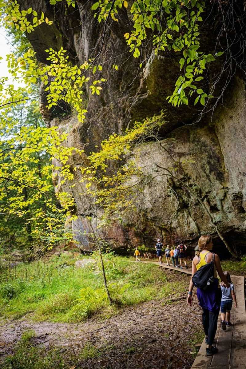Cedar Falls Trail