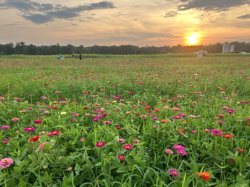 Grounded Farm Stand / Coastal Plains Outposts - Burgaw, Pender County