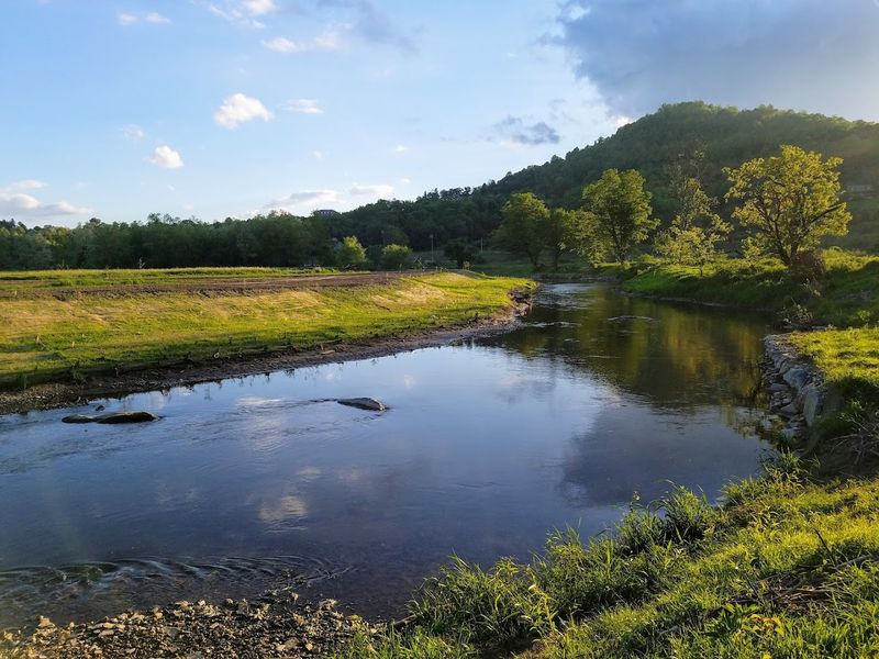 Boone, Watauga County