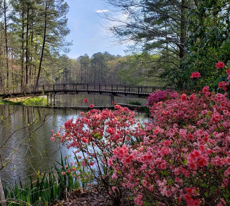 Callaway Gardens (Pine Mountain)