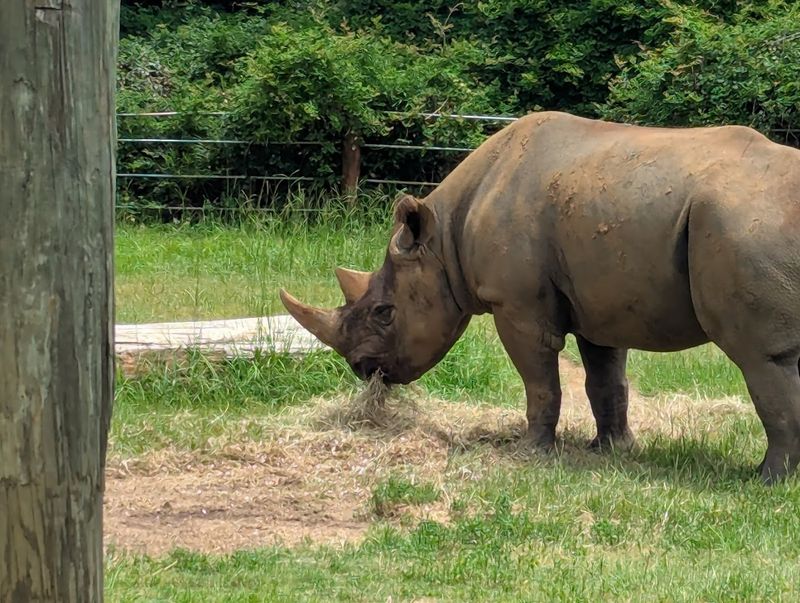 Chehaw Park & Zoo - Albany, Dougherty County