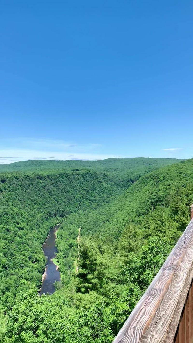 Pine Creek Gorge Vista