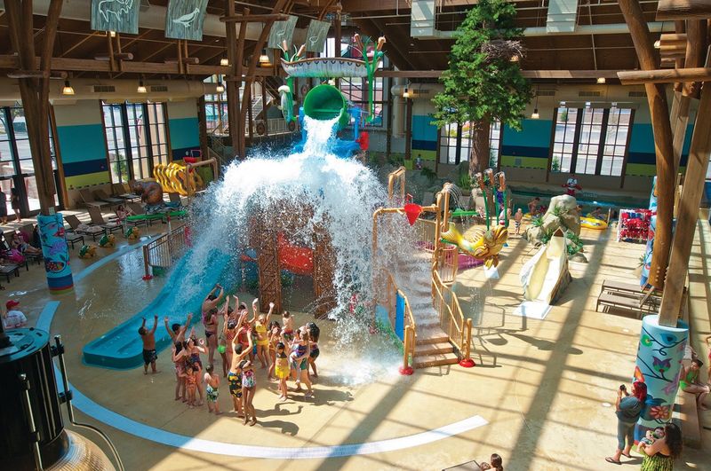 Soaring Eagle Waterpark and Hotel (Mount Pleasant)