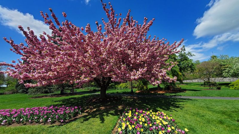 Hershey Gardens (Hershey)