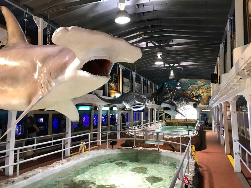 Key West Aquarium