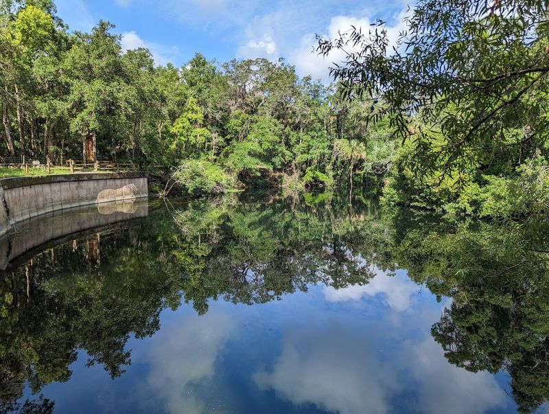 Hillsborough River State Park - Thonotosassa