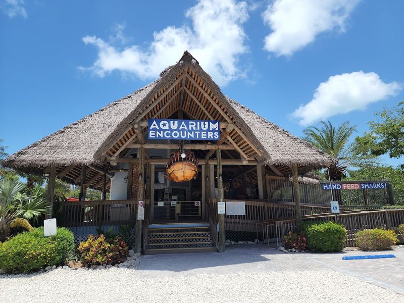 Florida Keys Aquarium Encounters