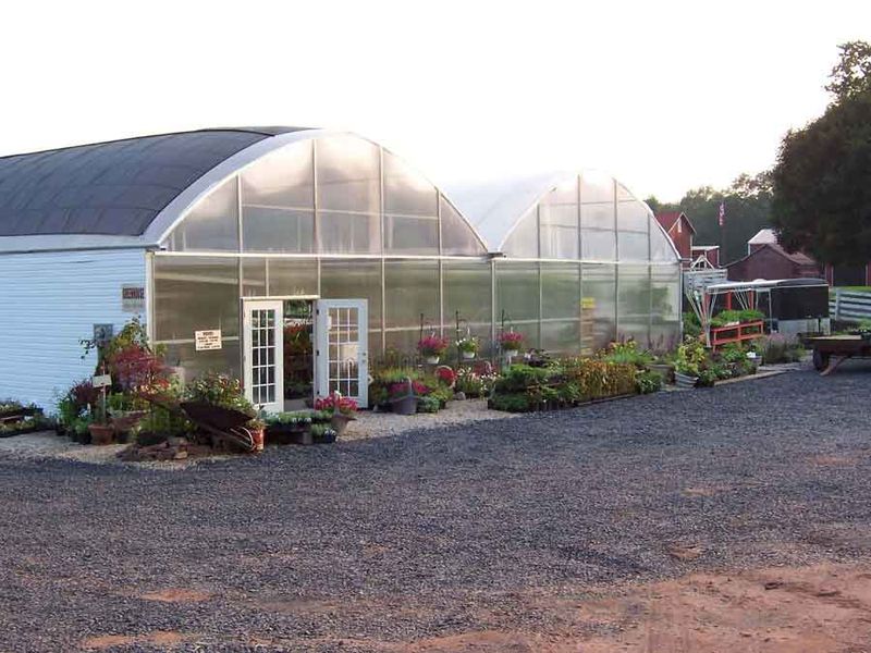New Blooms Greenhouse