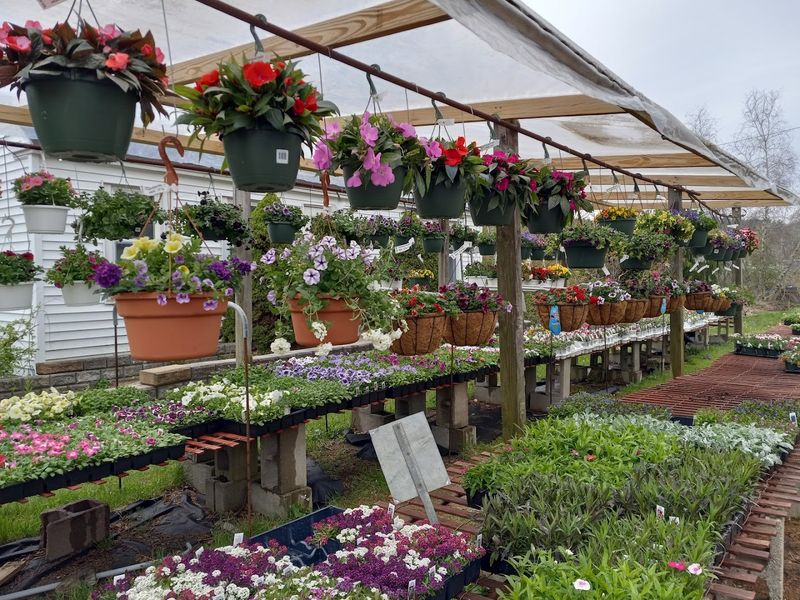 A. D. Makepeace Garden Center - North Grosvenordale, Windham County,