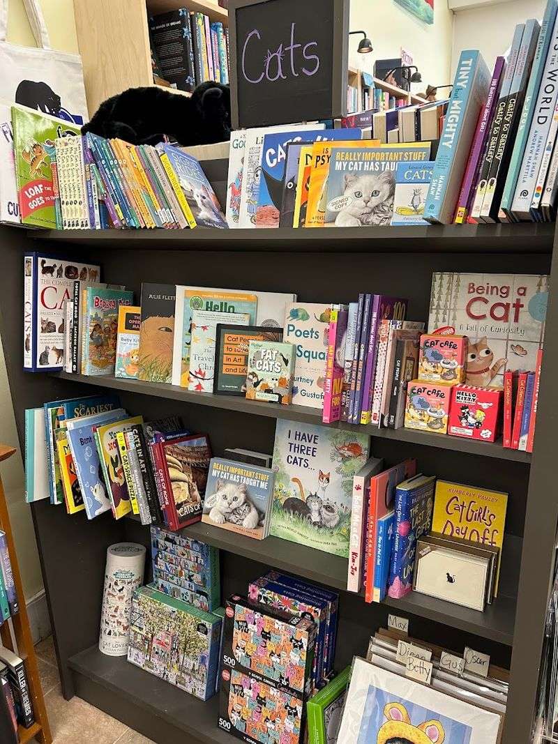 The Curious Cat Bookshop &mdash; Winsted