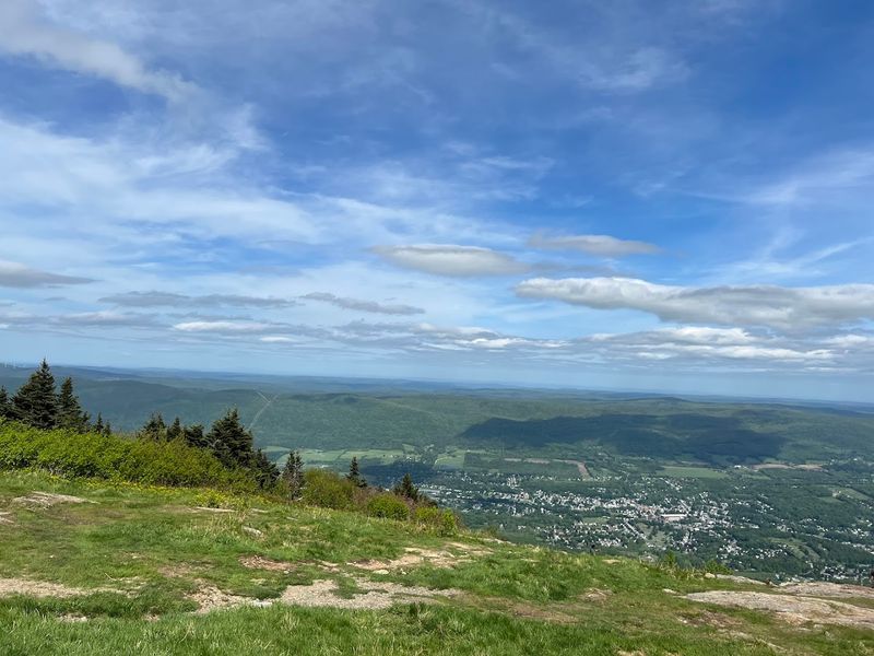 Mount Greylock Natural Spring - Adams